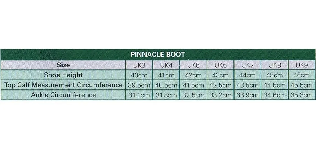 Dublin Pinnacle Boots