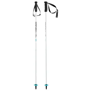 Head Worldcup SL JR Ski Race Pole.