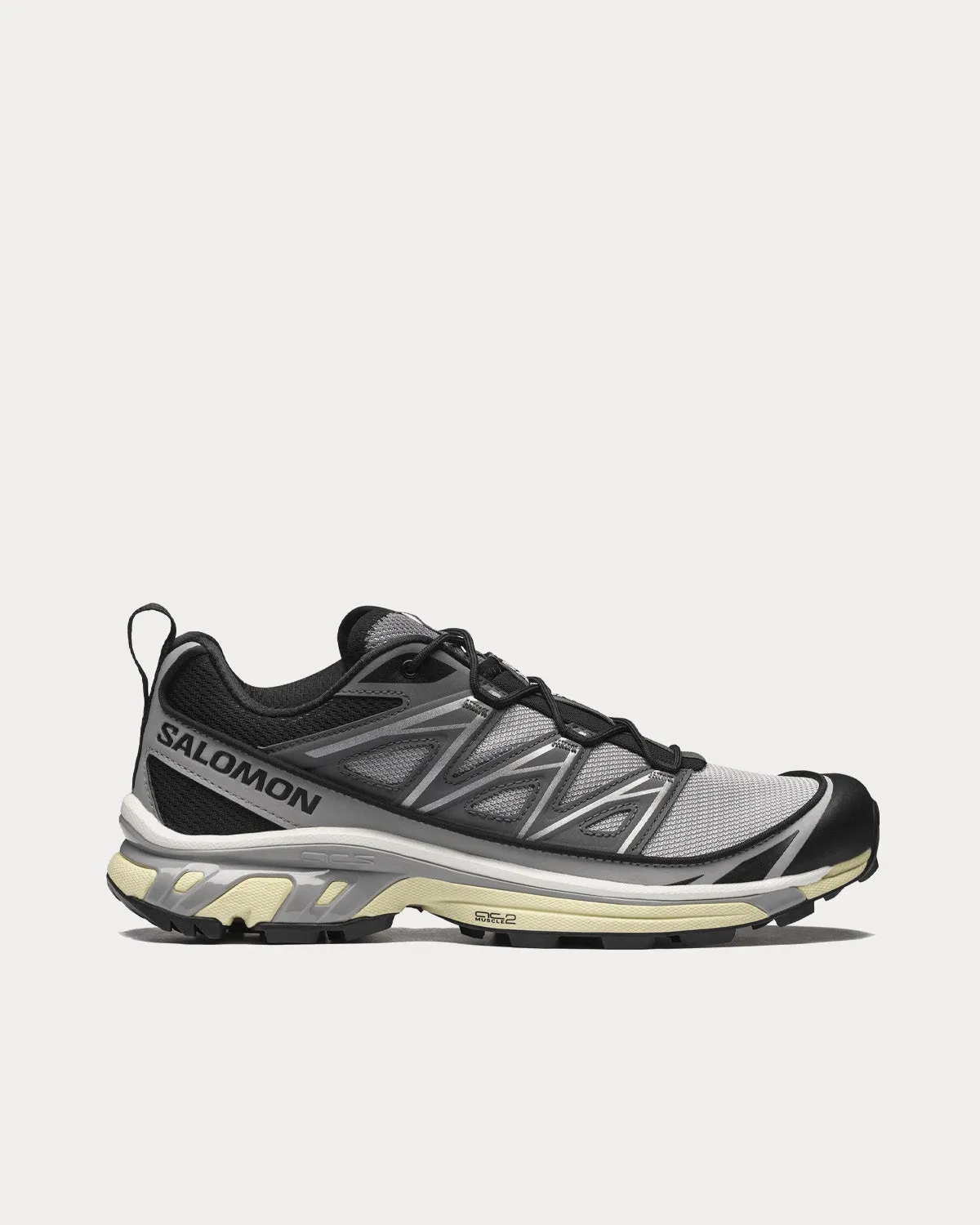XT-6 Expanse Alloy / Quiet Shade / Black Low Top Sneakers